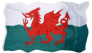 We have Welsh Gifts and Souvenirs for everyone.   Check out our souvenir tea towels, our wide range of magnets, keyrings and badges.  The famous Red Dragon is on many of them including Red Dragon Magnets and Keyrings!