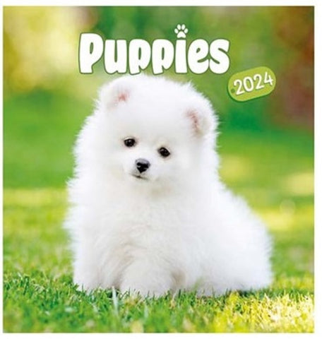 2024 Puppies Square Wall Calendar   New & Sealed Gift Envelope 16 Month Calendar September - December 2023 Split Across 2 Pages Size 57cm x 28.5cm Open Size 28.5cm x 28.5cm Closed Punchhole for Hanging on a wall 12 Months of cute puppies  Packed carefully in a Flat Cardboard Envelope  A stunning puppy Calendar makes a great gift for loves ones, friends and family.  Ideal for all fans of Dogs