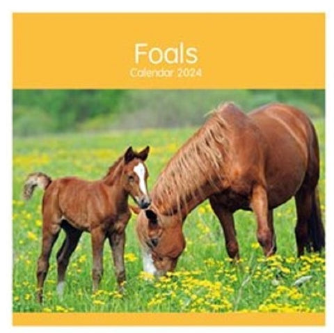 2024 Foals Square Wall Calendar Wild Animals Baby Horses Equines Equestrian