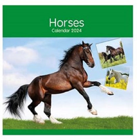 2024 Horses Square Wall Calendar   New & Sealed Gift Envelope 16 Month Calendar September - December 2023 Split Across 2 Pages Size 57cm x 28.5cm Open Size 28.5cm x 28.5cm Closed Punchhole for Hanging on a wall 12 Months of stunning Horses Packed carefully in a Flat Cardboard Envelope  A stunning Equine Calendar makes a great gift for loves ones, friends and family.  Ideal for all fans of horses.