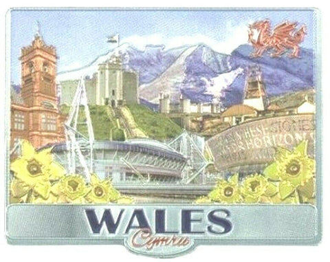 Welsh Fridge Magnet featuring a montage of welsh scenes