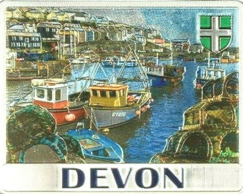 Devon Fridge Magnet Fishing Harbours