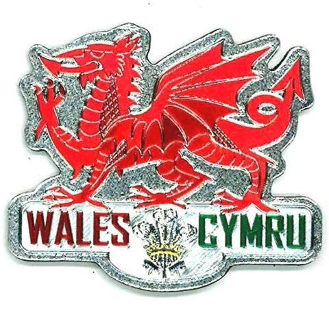 Wales Red Dragon Silver Foil Stamp Fridge Magnet