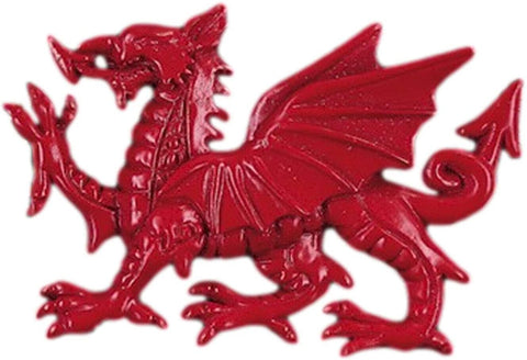 Welsh Red Dragon Fridge Magnet  Handmade in the UK Resin Size: 6cm x 4cm approx Attached to Information Card  Makes an ideal gift for friends and family or a souvenir of your visit to Wales.
