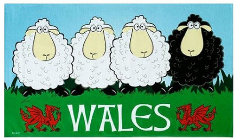 Welsh Black Sheep Tea Towel   Printed 100% Cotton Machine washable Made by Elgate  Featuring 3 white cartoon sheep and 1 black sheep.   Makes an ideal Souvenir of your visit to Wales or a gift for friends and family.
