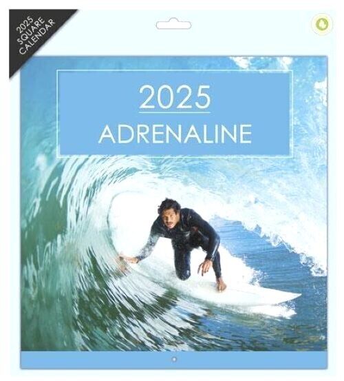 2025 Square Wall Calendars Sports Cars Bikes Castles Cats Dogs Wild Animals Gift