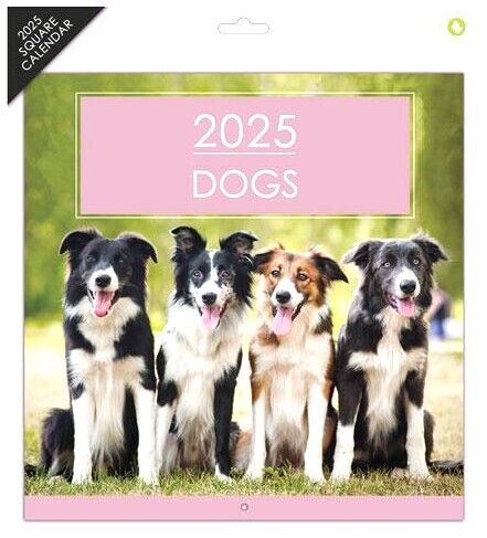 2025 Square Wall Calendars Sports Cars Bikes Castles Cats Dogs Wild Animals Gift