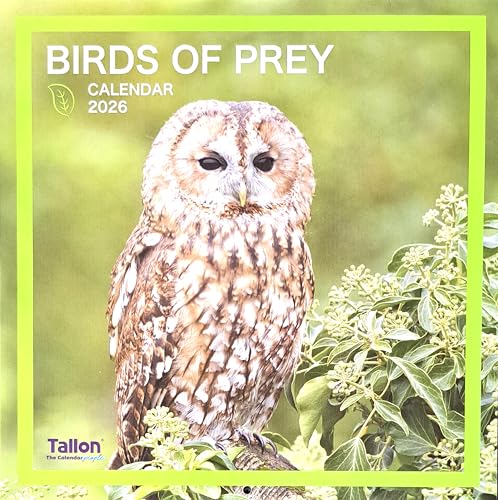 2026 Birds of Prey Square Wall Calendar Cute Wild Owl Eagle Kestrel Kite Osprey Falcon Planner Organiser Home Kitchen Office Christmas Birthday New Year