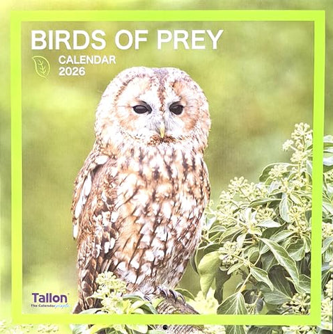 2026 Birds of Prey Square Wall Calendar Cute Wild Owl Eagle Kestrel Kite Osprey Falcon Planner Organiser Home Kitchen Office Christmas Birthday New Year