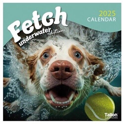 2025 Square Wall Calendar Planner Organiser Home Office Fetch Dogs Puppies Cute