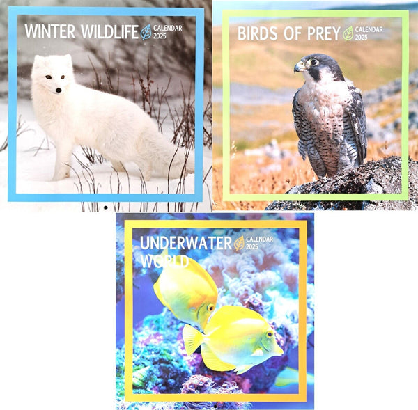 2025 Nature Animals Square Wall Calendars Birds of Prey Ocean Sea Life Wildlife