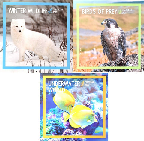 2025 Nature Animals Square Wall Calendars Birds of Prey Ocean Sea Life Wildlife