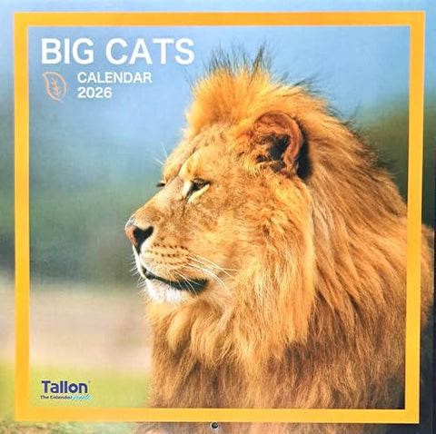 2026 Big Cats Square Wall Calendar Cute Animals Wild Lion Tiger Lynx Leopard Cougar Cub Planner Organiser Home Kitchen Office Christmas Birthday New Year