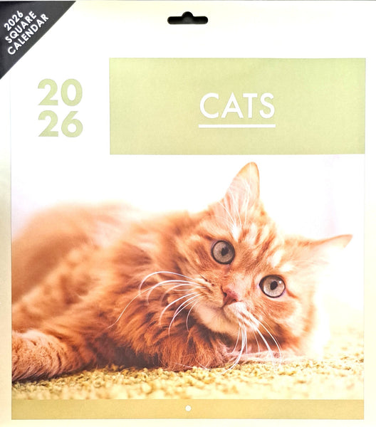 2026 Cats Calendar