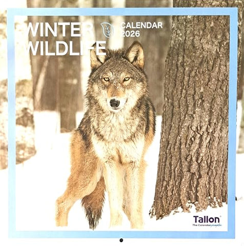 2026 Winter Wildlife Square Wall Calendar Cute Wild Animals Polar Arctic Antarctic Planner Organiser Home Kitchen Office Christmas Birthday New Year