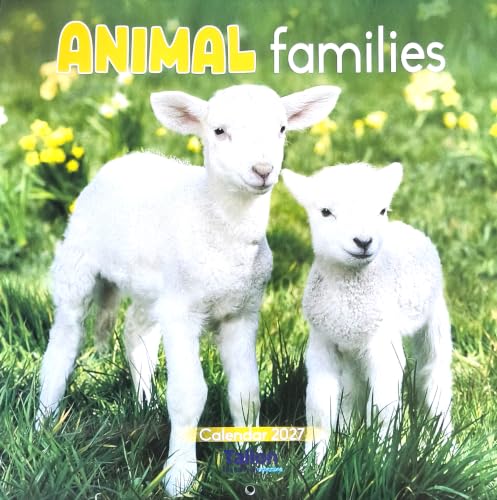 A square cover design for an 'Animal families' calendar featuring two white lambs standing in green grass with yellow flowers. The text 'ANIMAL families' is displayed at the top, and 'Calendar 2027' is visible near the bottom.