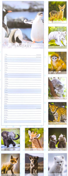 A January calendar page featuring a large penguin photo on the left and a vertical column of small animal photos on the right, with blank lined writing space in the center.
