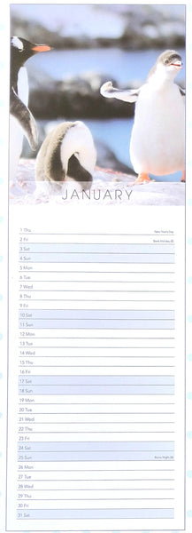 A January calendar page featuring a penguin photograph at the top and lined writing space below for dates and notes.