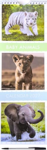 A vertical wall calendar page showing three animal photographs: a white tiger labeled 'BABY ANIMALS,' a lion cub, and an elephant in water. The calendar has a spiral binding visible at the top and a black pen attached at the bottom.