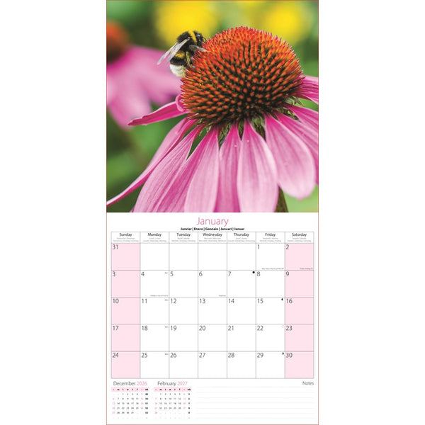 2027 Bees Square Wall Calendar January page.