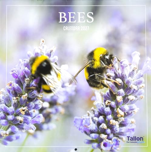 Square wall calendar cover featuring a close-up photograph of two bumblebees on purple lavender flowers, with the text 'BEES CALENDAR 2027' at the top and the Tallon logo at the bottom right.