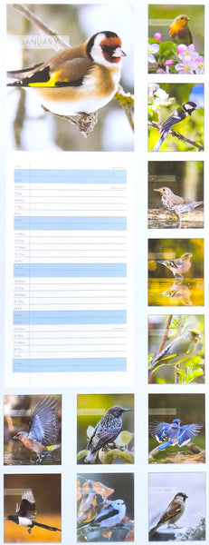 2027 Birds Tall Slim Wall Calendar featuring multiple bird photographs arranged around a large blank lined checklist in the center. The birds include goldfinches, bluebirds, tits, and other small birds in natural settings.