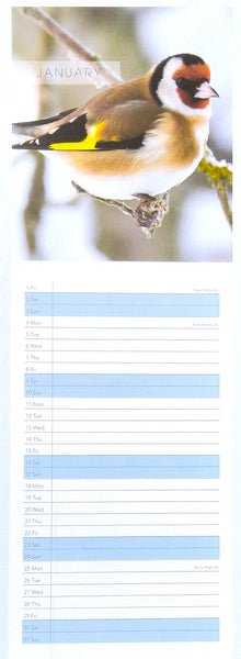 A vertical page showing a January calendar spread with a large photograph of a goldfinch bird at the top and a lined monthly calendar grid below on a white page.