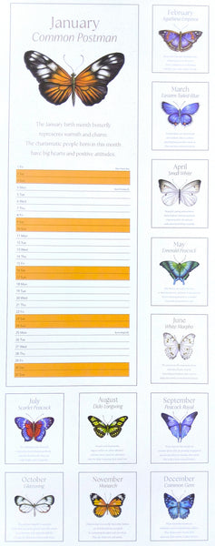2027 Butterfly Tall Slim Wall Calendar Featuring the 12 Butterflies in the calendar