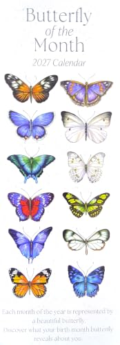 A butterfly-themed 2027 calendar cover featuring multiple illustrated butterflies in different colors arranged vertically on a white background, with the title 'Butterfly of the Month 2027 Calendar' at the top.