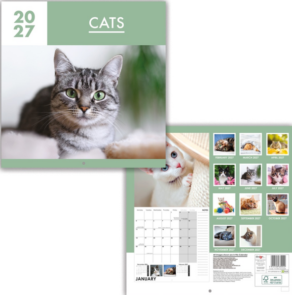 A wall calendar titled "CATS 2027" shown from the front and back. The cover features a large photo of a gray tabby cat with green eyes on a soft green background.