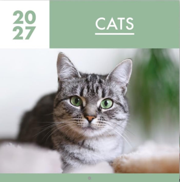 A square calendar-style cover featuring a close-up photo of a gray tabby cat with green eyes. The top has a white panel with the numbers 20 and 27, a sage green panel with the word CATS, and a matching sage green band across the bottom.