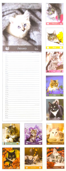A vertical monthly calendar page featuring photos of various cats in different poses and settings, with a large kitten photo at the top and a lined monthly writing area labeled January on the left, alongside smaller cat photos along the right side.