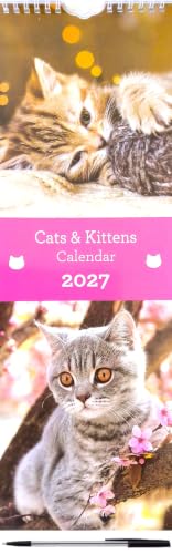 A spiral-bound 2027 wall calendar titled 'Cats & Kittens Calendar' featuring two cat photographs: a fluffy tabby and kitten pair at the top and a gray tabby cat with pink blossoms at the bottom, with a pink title band in the center.