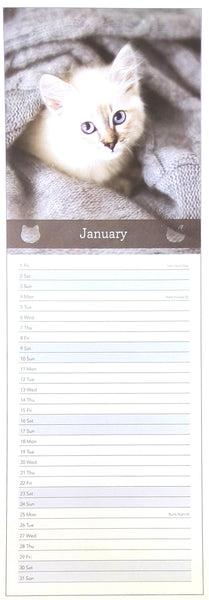 A vertical January calendar page featuring a photo of a cream-colored kitten on a gray blanket at the top, with lined writing space below for daily notes.
