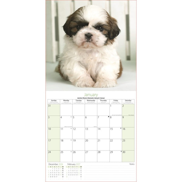 A January wall calendar page featuring a fluffy brown-and-white puppy photo at the top and a monthly calendar grid below on a white background.