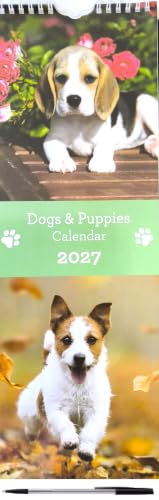 A spiral-bound 2027 Dogs & Puppies Calendar featuring photos of dogs. The top half shows a beagle puppy lying on a wooden deck with pink flowers, and the bottom half shows a white and tan dog running through autumn leaves.