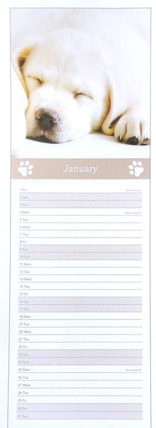 A vertical monthly calendar page featuring a sleeping white puppy photo at the top, with the word January and lined date boxes below.