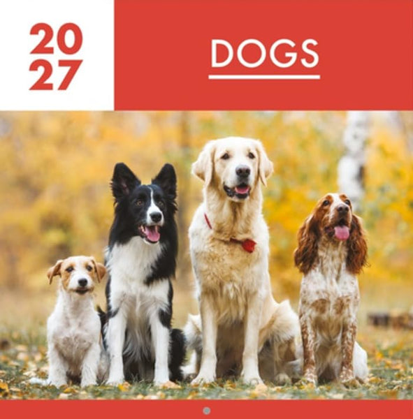 A square cover-style image featuring four dogs sitting outdoors in an autumn setting, with a red banner at the top reading '2027 DOGS' and a red band at the bottom.