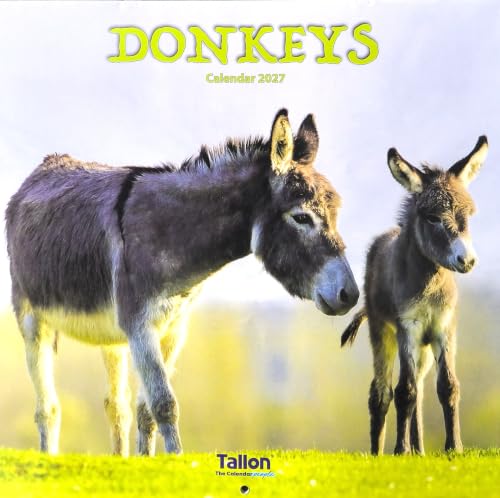 2027 Donkeys Calendar cover featuring a large donkey and a foal standing in a grassy field under a pale sky, with the title 'DONKEYS' at the top and 'Tallon' branding at the bottom.