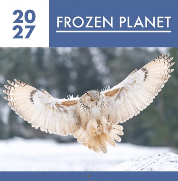 A square cover-style image for a 2027 calendar or print titled 'FROZEN PLANET,' featuring a large snowy owl in flight over a snowy landscape. The top banner includes the numbers 20 27 and the title text, and the bottom and side margins are blue.