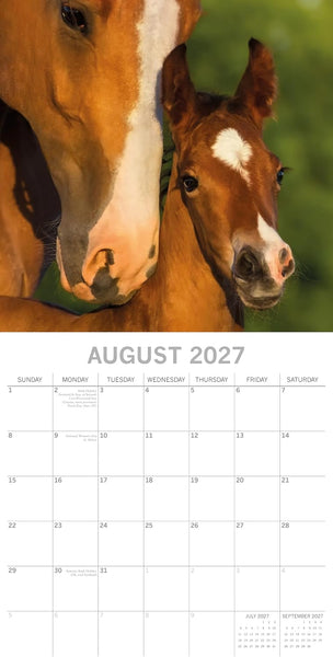 A wall calendar page for August 2027 featuring a close-up photograph of a brown horse and foal at the top, with a white calendar grid below.