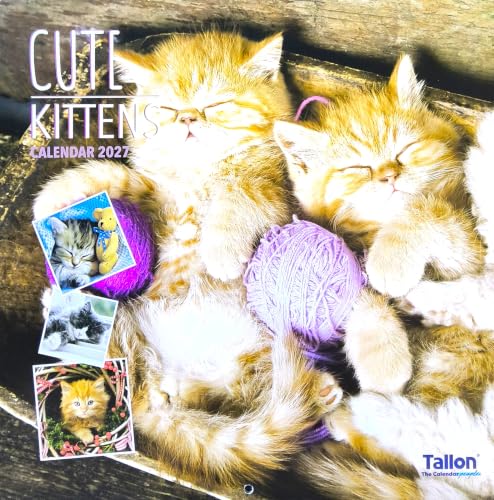 Tallon 'Cute Kittens' 2022 calendar cover featuring two sleeping orange tabby kittens on a rustic wooden surface with purple yarn balls and small kitten photos.