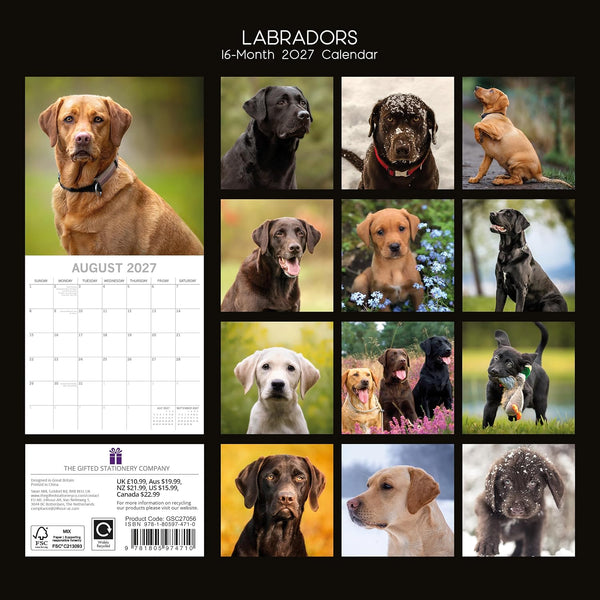 2027 Labrador calendar with various dog images on a black background