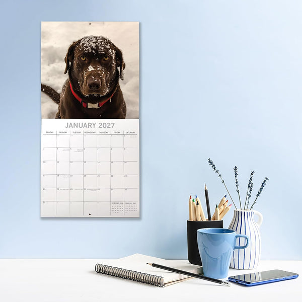 Calendar with a labrador picture on a wall above a desk with stationery items.
