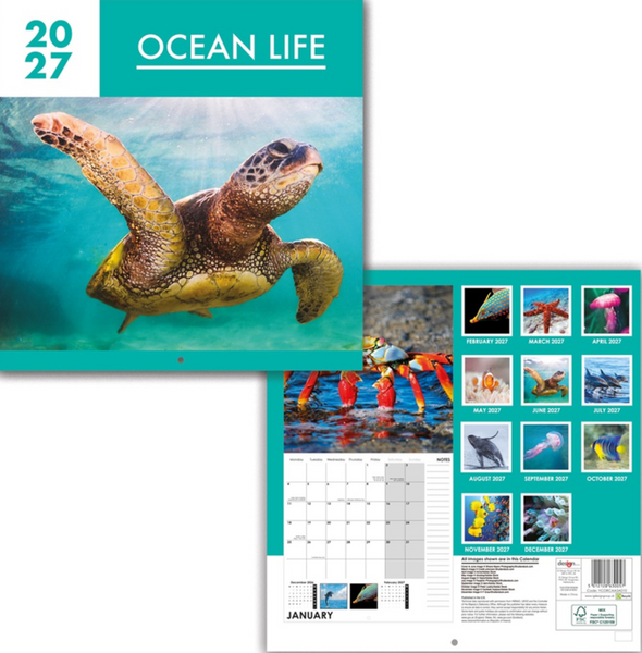 A 2027 'Ocean Life' wall calendar shown from two angles: the front cover featuring a large sea turtle underwater, and the back cover showing monthly grids and smaller underwater photos.