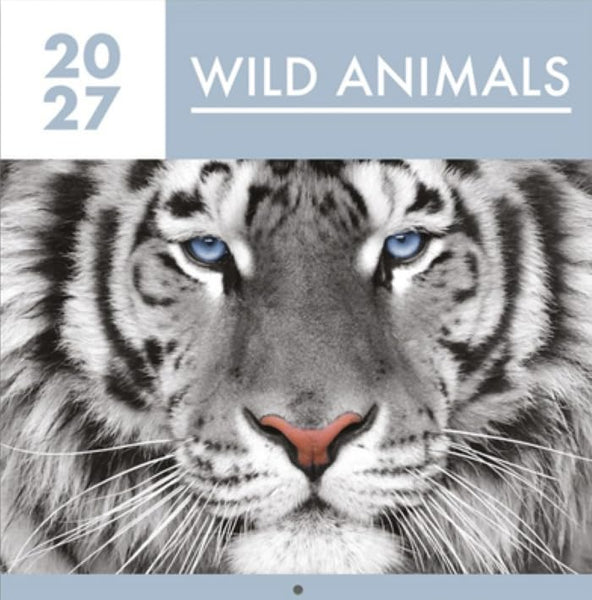 A close-up tiger face with blue eyes and black stripes, under a pale blue banner that reads '2027 WILD ANIMALS'.