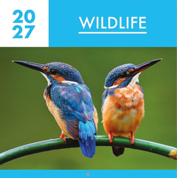 A square cover-style image featuring two kingfisher birds perched on a green branch against a soft green background, with a bright blue header reading '2027 WILDLIFE'.