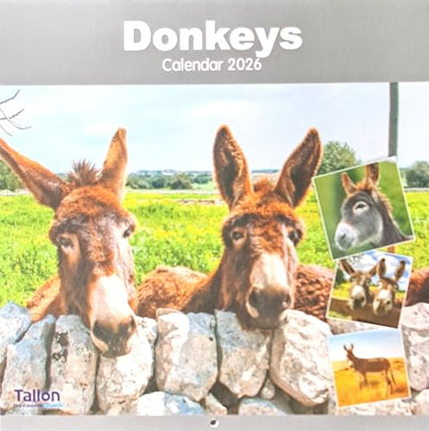 2026 Donkeys Square Wall Calendar Planner Organiser Home Kitchen Office Christmas Birthday New Year