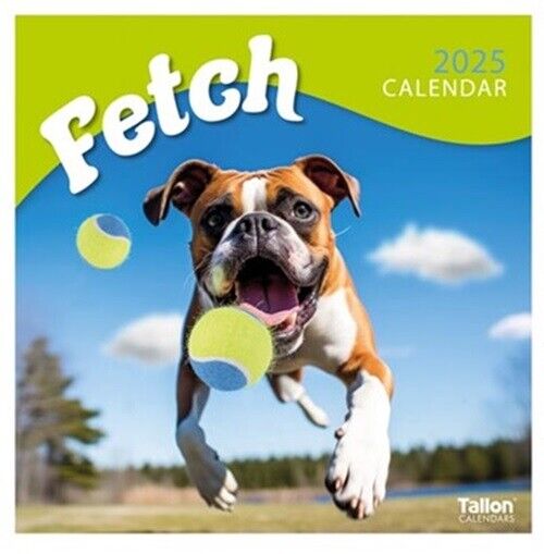2025 Square Wall Calendar Planner Organiser Home Office Fetch Dogs Puppies Cute