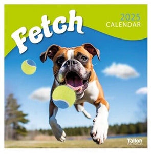 2025 Square Wall Calendar Planner Organiser Home Office Fetch Dogs Puppies Cute
